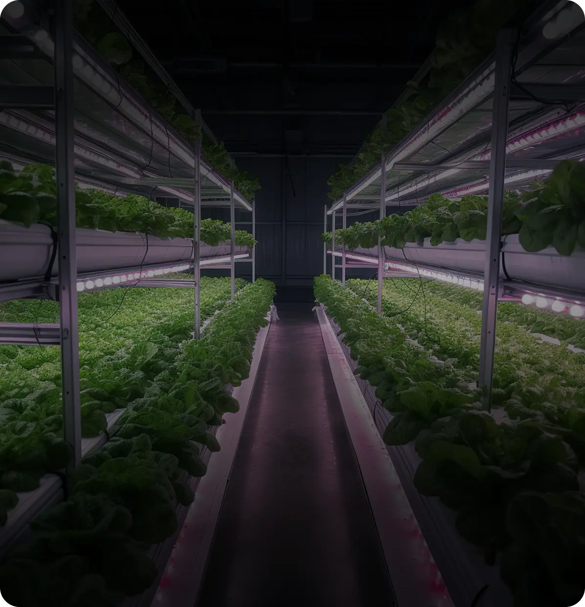 Digital-platform-for-smart-agriculture background