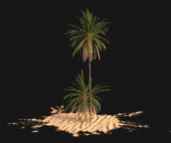 End-to-end Solution for Date Palm Growth Image