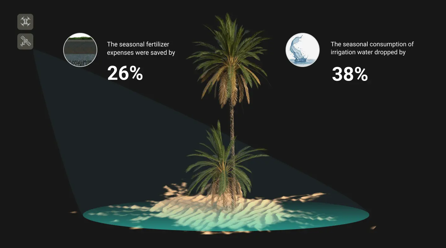 End-to-end Solution for Date Palm Growth Image